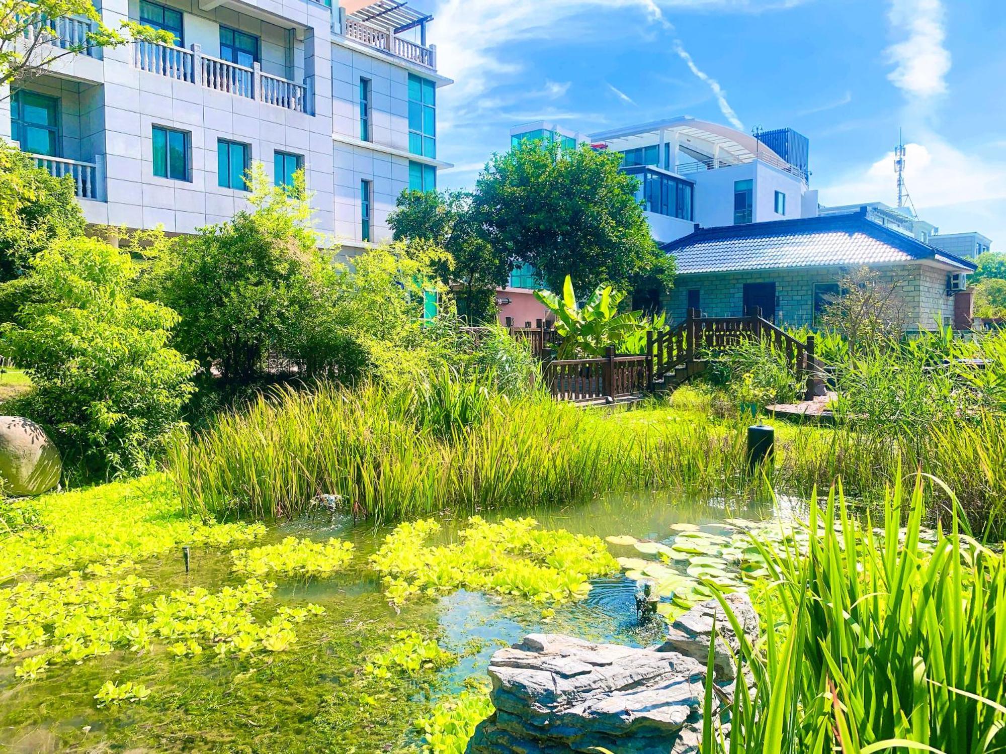 Shushe Hotel Shanghái Exterior foto